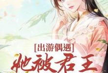 已完结小说《出游偶遇，她被君王强取豪夺》章节在线阅读-艾米文学