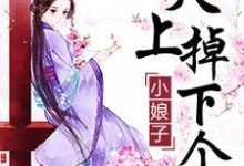 天上掉下个小娘子苏妗纪洛李珩小说大结局免费试读-艾米文学