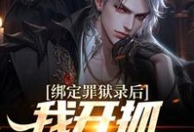 免费在线阅读绑定罪狱录后，我开抓犯事异人小说的正规网站有哪些？-艾米文学