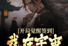 《开局觉醒签到，我在宇宙无敌了》小说大结局免费试读 叶梵小说-艾米文学