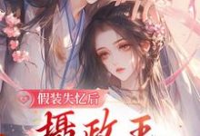 主人公叫沈青棠墨允宸的小说假装失忆后，摄政王重新爱上她在线阅读章节-艾米文学