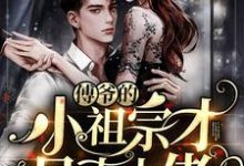 《傅爷的小祖宗才是真大佬》小说主角苏沅沅傅言珩苏德远浦盼瑶章节章节免费在线阅读-艾米文学