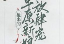 抢来的草原新娘放肆宠小说全文阅读需要付费吗？寻找免费资源-艾米文学