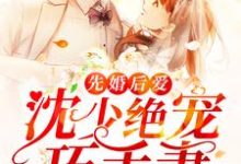 完结版《先婚后爱：沈少绝宠巧手妻》免费阅读-艾米文学