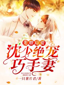 完结版《先婚后爱：沈少绝宠巧手妻》免费阅读