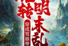 穿成驾崩帝皇,玩转明末乱世主角朱由校小说完结版章节在线阅读-艾米文学