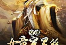 穿越:女帝穿黑丝,这是我能看的么主角林明叶清欢小说完结版章节在线阅读-艾米文学