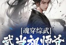 完结版《魂穿综武:武当祖师爷出山了》在线免费阅读-艾米文学