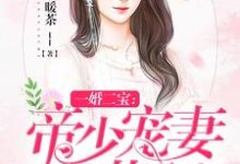 哪里能找到一婚二宝:帝少宠妻无节制小说的最新更新和免费章节?-艾米文学
