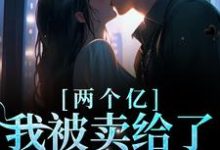 两个亿，我被卖给了陌生男人小说完结版章节免费阅读-艾米文学