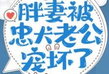 重生八零:胖妻被忠犬老公宠坏了小说,重生八零:胖妻被忠犬老公宠坏了最新章节-艾米文学