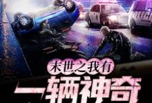 末世之我有一辆神奇面包车展泽之萧野林强李然小说大结局免费试读-艾米文学