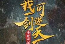 主角叫叶小川元小楼小说神魔同途:我一剑可逆天下章节免费阅读-艾米文学