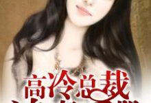 在线寻找哲瑜关芷妍裴诗晗裴哲瑜诗晗的小说,高冷总裁追妻手册免费阅读-艾米文学