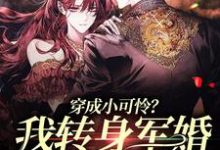 林曦纪晏殊是哪本书的主角？穿成小可怜？我转身军婚嫁兵哥哥免费读-艾米文学