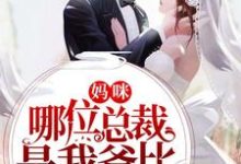 妈咪,哪位总裁是我爸比陆宁溪封呈衍景澈景忆小说在线章节目录阅读最新章节-艾米文学