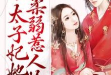 甜蜜宠爱:太子妃她柔弱惹人怜小说完结版章节免费阅读-艾米文学