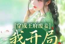 穿成王府废妾,我开局被陷害这本小说完结了吗?免费查看最新章节-艾米文学