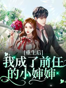 苏宁安陆时晏为主角的小说重生后我成了前任的小婶婶在线阅读