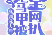 高调选夫后，她马甲被全网扒了最新章节，高调选夫后，她马甲被全网扒了章节在线阅读-艾米文学