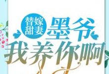 小说《替嫁甜妻:墨爷,我养你啊》在线章节阅读-艾米文学