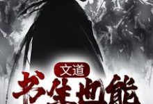 李长安安南栀为主角的小说叫什么？免费看文道：书生也能破万军-艾米文学