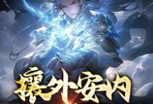 攘外安内，一人亦可为小说最新章节在哪里可以读到？-艾米文学