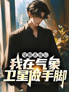 小说《觉醒系统后，我在气象卫星做手脚》章节免费阅读