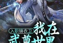 入职锦衣卫,我在武尊世界为朝廷效力小说,入职锦衣卫,我在武尊世界为朝廷效力林枭-艾米文学