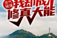 灵气稀薄，我却成修真大能？林峰林云瑶小说大结局免费试读-艾米文学