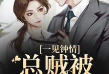小说《一见钟情,总贼被戏耍了》章节免费阅读-艾米文学
