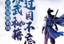 赢启徐胭脂小说叫什么(开局觉醒系统,综武秘籍我过目不忘免费阅读)-艾米文学