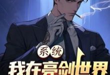 系统：我在亮剑世界爆杀鬼子这本小说完结了吗？免费查看最新章节-艾米文学