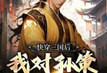 快穿三国后，我对孙策斩草除根小说有没有完整的免费版本在线阅读？-艾米文学
