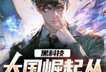主人公农泽小说黑科技：大国崛起从改飞船说起在线章节阅读-艾米文学