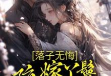 落子无悔，陪嫁丫鬟一心逃离檀容韩晏在线章节免费阅读-艾米文学
