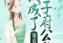 想读苏妤李晟的故事，哪里可以免费找到宠妾上位：我成了太子府公敌？-艾米文学