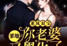 免费看龙凤双宝：爹地，你老婆又黑化了小说的网站有哪些？-艾米文学