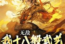 陆通是哪本书的主角?无敌:我十八般武艺样样精通免费读-艾米文学