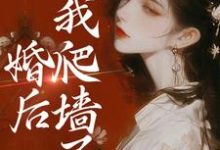 婚后,我爬墙了小说的免费电子版在哪里可以下载或阅读?-艾米文学