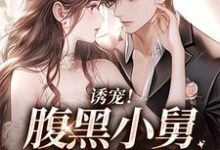 诱宠!腹黑小舅肆意妄吻陆迟晏宋听晚在线章节免费阅读-艾米文学