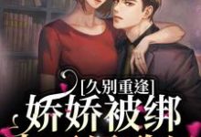 久别重逢:娇娇被绑去了民政局小说无弹窗阅读的网站推荐-艾米文学