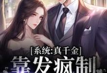 系统：真千金靠发疯制裁全世界小说全文阅读需要付费吗？寻找免费资源-艾米文学