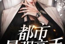 姜树桂小雨为主角的小说好看吗?求都市最强高手免费试读-艾米文学