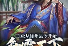 三国：从徐州县令开始争霸天下小说的免费阅读版本在哪里可以找到？-艾米文学