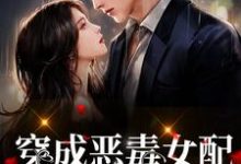 免费在线阅读穿成恶毒女配，我为反派正名小说的正规网站有哪些？-艾米文学
