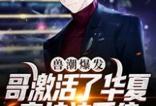 兽潮爆发！哥激活了华夏守护神系统免费阅读，兽潮爆发！哥激活了华夏守护神系统秦枫-艾米文学