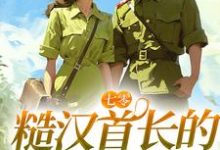 免费阅读宋声声傅城为主角的小说，七零：糙汉首长的疯批小娇妻在线看-艾米文学