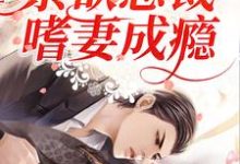 《先婚后爱：禁欲总裁嗜妻成瘾》小说大结局免费试读 陆晏温晚小说-艾米文学