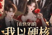 哪里能找到在快穿部,我以硬核管家闻名小说的全部章节?-艾米文学